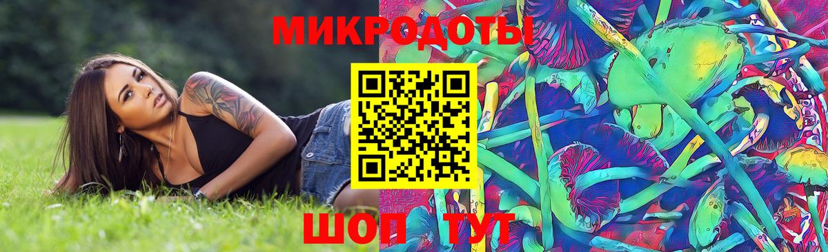 Галлюциногенные грибы прущие грибы  Вход с VPN  Сочи 