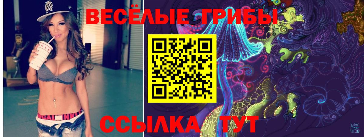 Галлюциногенные грибы Psilocybine cubensis Сочи